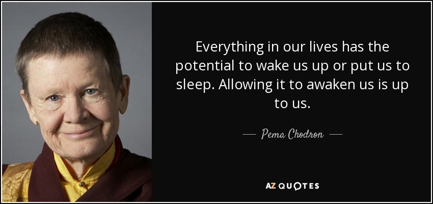 Everything in our lives has the potential to wake us up or put us to sleep. Allowing it to awaken us is up to us. - Pema Chodron