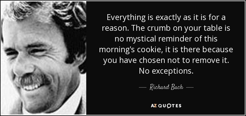 Everything is exactly as it is for a reason. The crumb on your table is no mystical reminder of this morning's cookie, it is there because you have chosen not to remove it. No exceptions. - Richard Bach