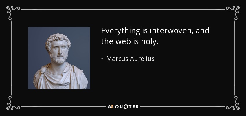 Everything is interwoven, and the web is holy. - Marcus Aurelius