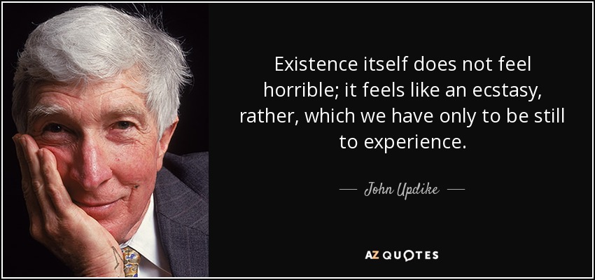 Existence itself does not feel horrible; it feels like an ecstasy, rather, which we have only to be still to experience. - John Updike