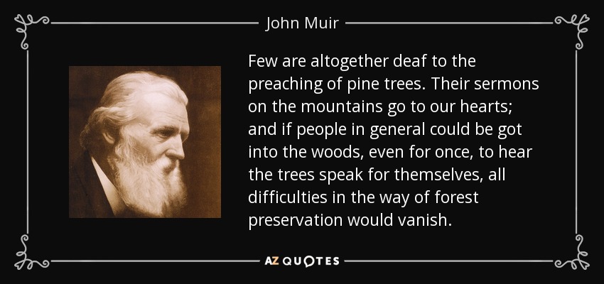 Few are altogether deaf to the preaching of pine trees. Their sermons on the mountains go to our hearts; and if people in general could be got into the woods, even for once, to hear the trees speak for themselves, all difficulties in the way of forest preservation would vanish. - John Muir