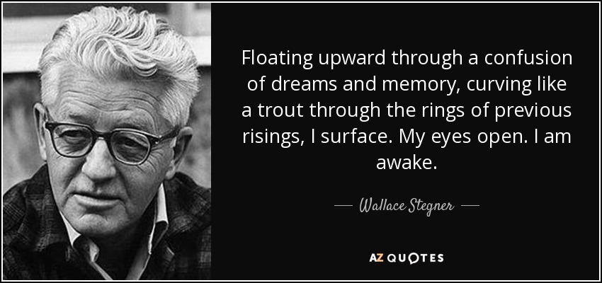 Floating upward through a confusion of dreams and memory, curving like a trout through the rings of previous risings, I surface. My eyes open. I am awake. - Wallace Stegner