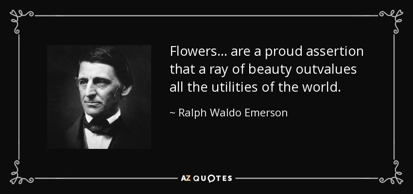 Flowers... are a proud assertion that a ray of beauty outvalues all the utilities of the world. - Ralph Waldo Emerson