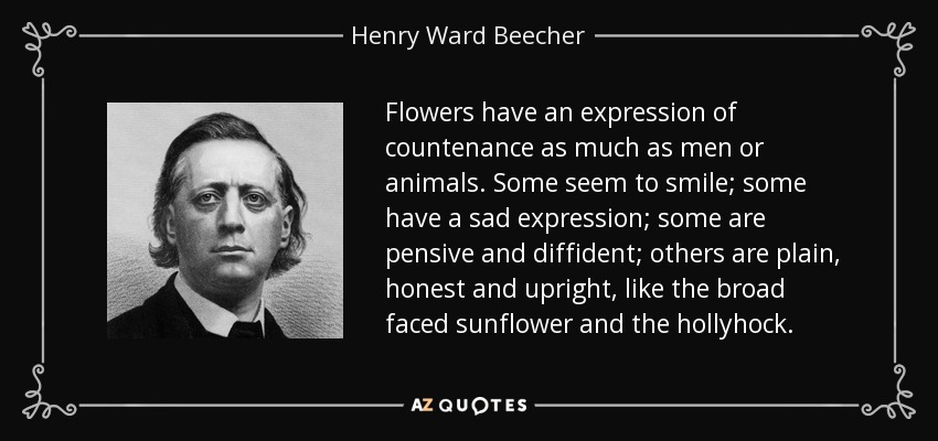 Flowers have an expression of countenance as much as men or animals. Some seem to smile; some have a sad expression; some are pensive and diffident; others are plain, honest and upright, like the broad faced sunflower and the hollyhock. - Henry Ward Beecher