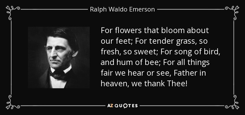 For flowers that bloom about our feet; For tender grass, so fresh, so sweet; For song of bird, and hum of bee; For all things fair we hear or see, Father in heaven, we thank Thee! - Ralph Waldo Emerson