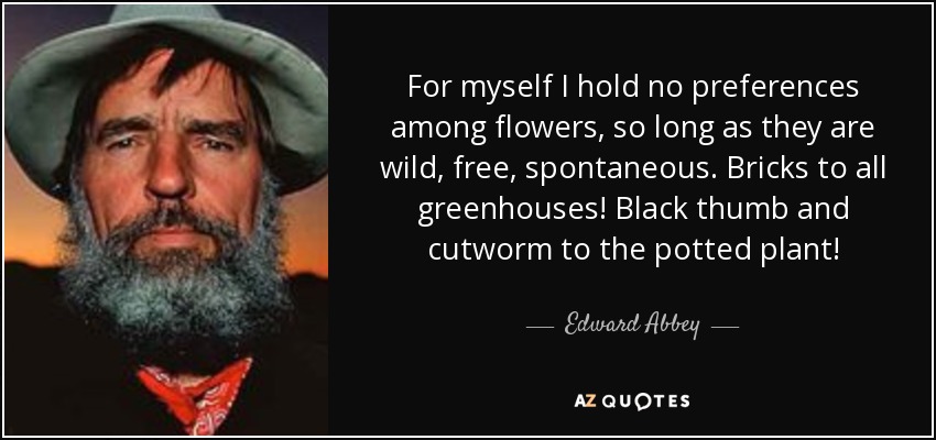 For myself I hold no preferences among flowers, so long as they are wild, free, spontaneous. Bricks to all greenhouses! Black thumb and cutworm to the potted plant! - Edward Abbey