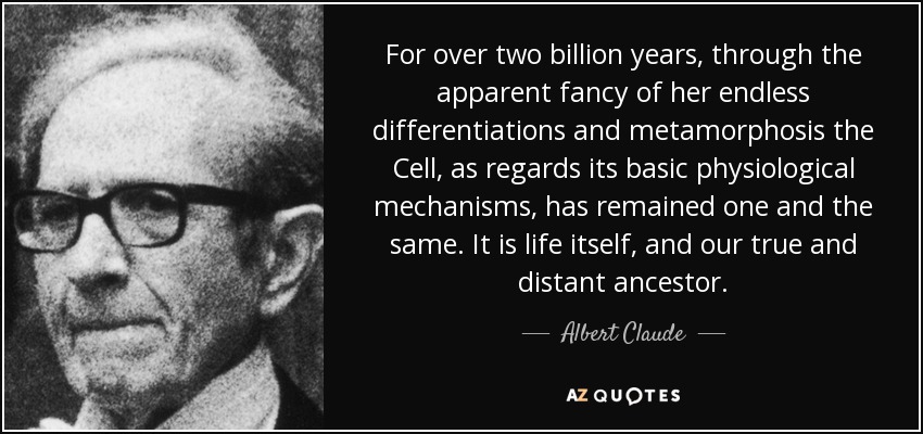 For over two billion years, through the apparent fancy of her endless differentiations and metamorphosis the Cell, as regards its basic physiological mechanisms, has remained one and the same. It is life itself, and our true and distant ancestor. - Albert Claude