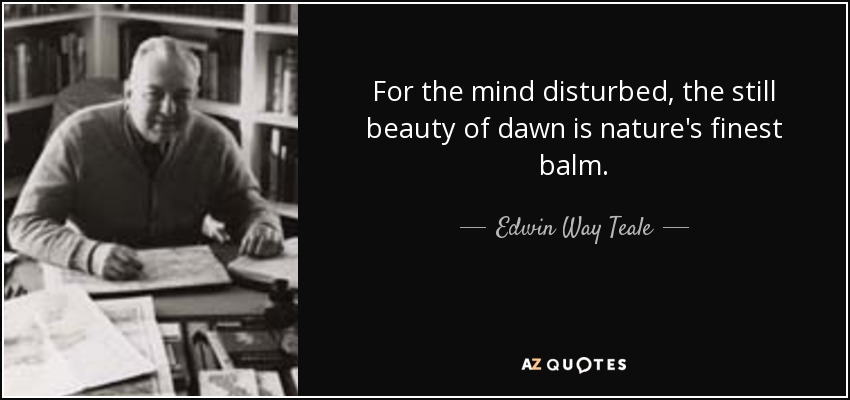 For the mind disturbed, the still beauty of dawn is nature's finest balm. - Edwin Way Teale