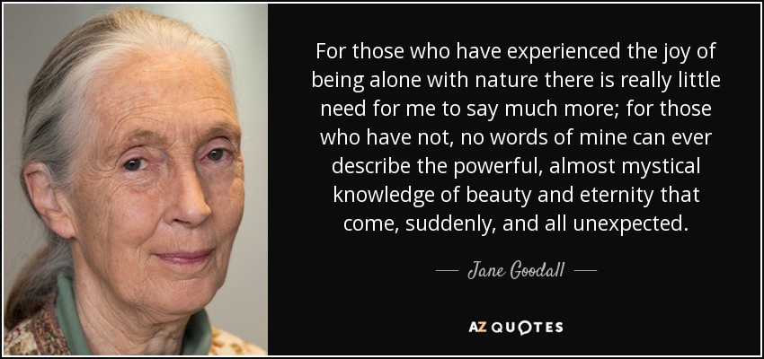 For those who have experienced the joy of being alone with nature there is really little need for me to say much more; for those who have not, no words of mine can ever describe the powerful, almost mystical knowledge of beauty and eternity that come, suddenly, and all unexpected. - Jane Goodall