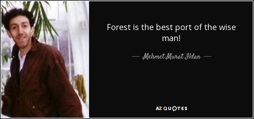 Forest is the best port of the wise man! - Mehmet Murat Ildan