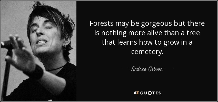 Forests may be gorgeous but there is nothing more alive than a tree that learns how to grow in a cemetery. - Andrea Gibson