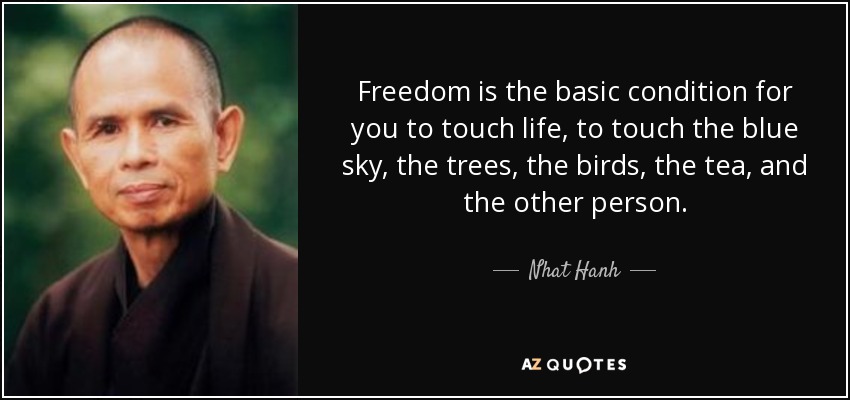 Freedom is the basic condition for you to touch life, to touch the blue sky, the trees, the birds, the tea, and the other person. - Nhat Hanh
