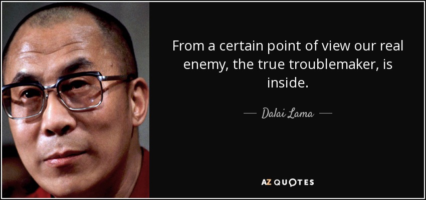 From a certain point of view our real enemy, the true troublemaker, is inside. - Dalai Lama
