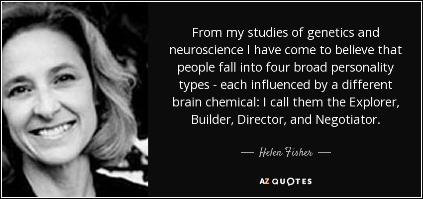 From my studies of genetics and neuroscience I have come to believe that people fall into four broad personality types - each influenced by a different brain chemical: I call them the Explorer, Builder, Director, and Negotiator. - Helen Fisher