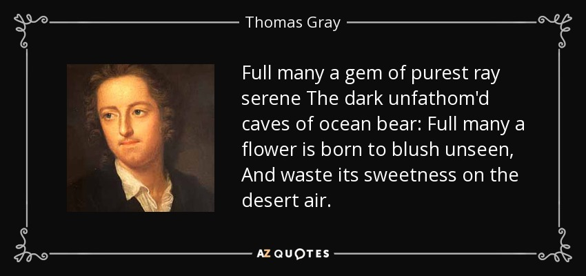 Full many a gem of purest ray serene The dark unfathom'd caves of ocean bear: Full many a flower is born to blush unseen, And waste its sweetness on the desert air. - Thomas Gray