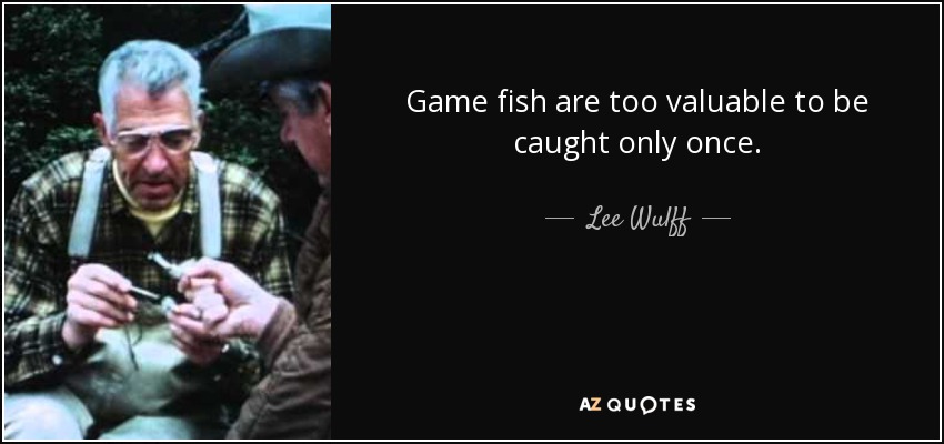 Game fish are too valuable to be caught only once. - Lee Wulff
