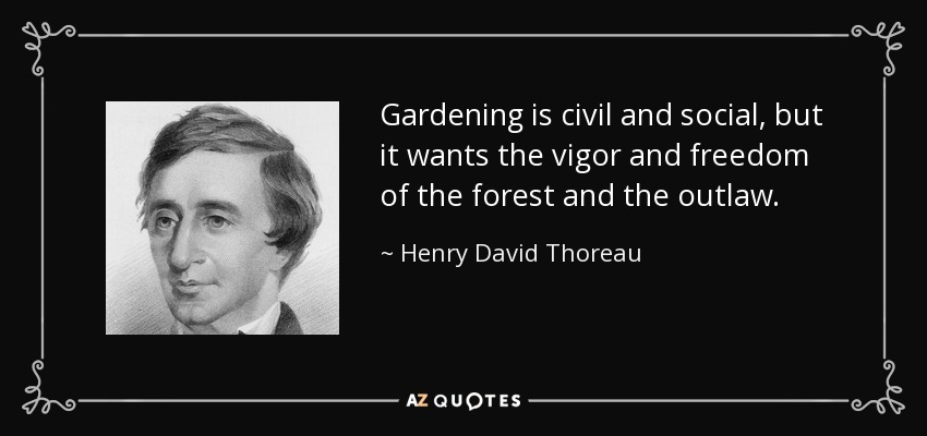 Gardening is civil and social, but it wants the vigor and freedom of the forest and the outlaw. - Henry David Thoreau
