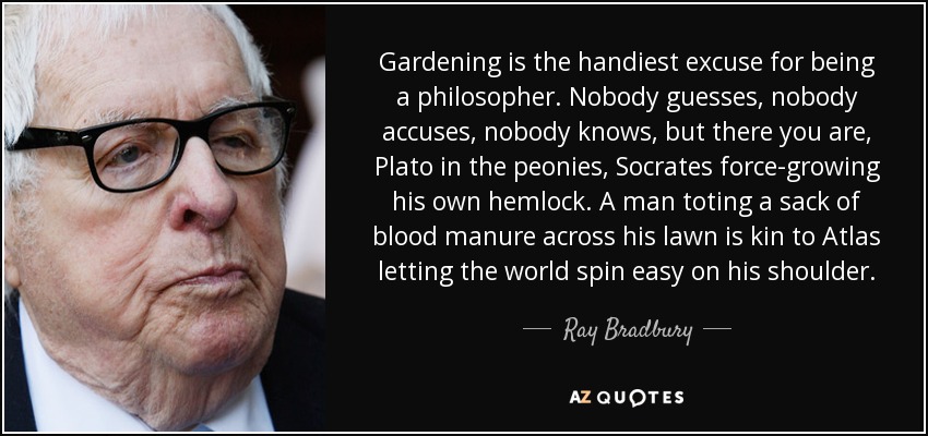 Gardening is the handiest excuse for being a philosopher. Nobody guesses, nobody accuses, nobody knows, but there you are, Plato in the peonies, Socrates force-growing his own hemlock. A man toting a sack of blood manure across his lawn is kin to Atlas letting the world spin easy on his shoulder. - Ray Bradbury