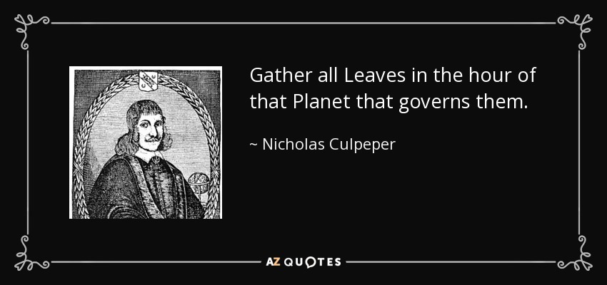 Gather all Leaves in the hour of that Planet that governs them. - Nicholas Culpeper