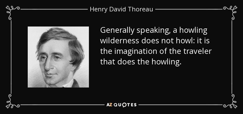 Generally speaking, a howling wilderness does not howl: it is the imagination of the traveler that does the howling. - Henry David Thoreau