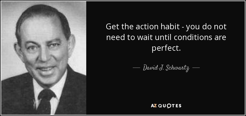 Get the action habit - you do not need to wait until conditions are perfect. - David J. Schwartz