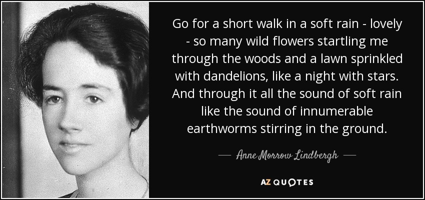 Go for a short walk in a soft rain - lovely - so many wild flowers startling me through the woods and a lawn sprinkled with dandelions, like a night with stars. And through it all the sound of soft rain like the sound of innumerable earthworms stirring in the ground. - Anne Morrow Lindbergh