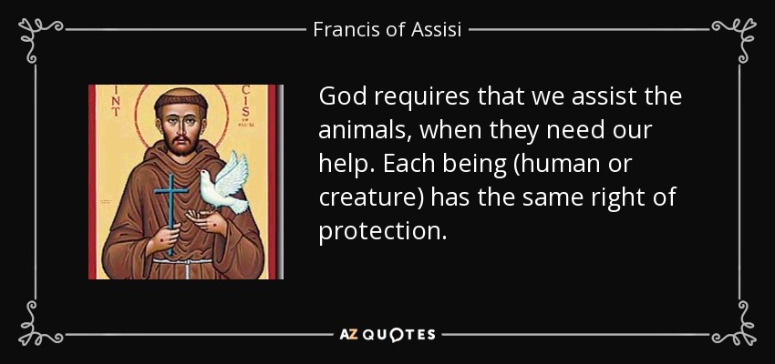 God requires that we assist the animals, when they need our help. Each being (human or creature) has the same right of protection. - Francis of Assisi