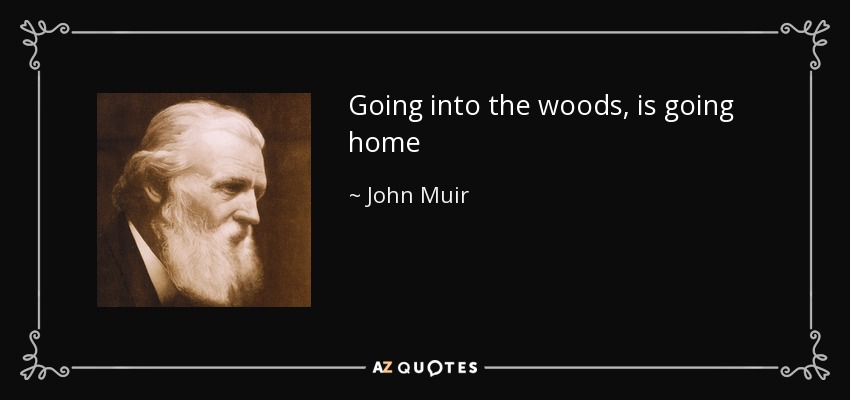 Going into the woods, is going home - John Muir