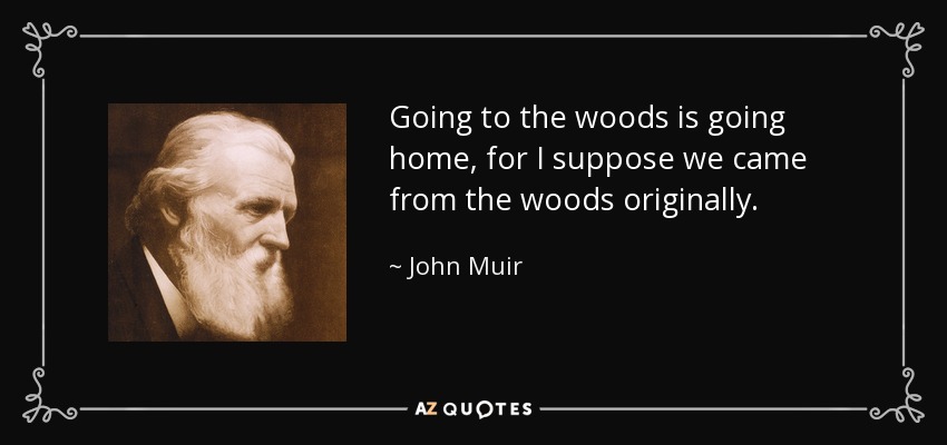 Going to the woods is going home, for I suppose we came from the woods originally. - John Muir