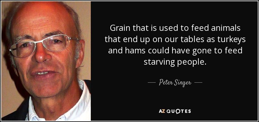 Grain that is used to feed animals that end up on our tables as turkeys and hams could have gone to feed starving people. - Peter Singer