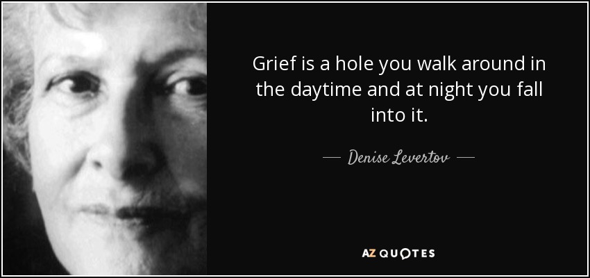 Grief is a hole you walk around in the daytime and at night you fall into it. - Denise Levertov