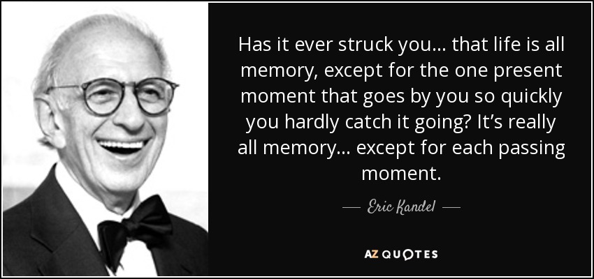 Has it ever struck you ... that life is all memory, except for the one present moment that goes by you so quickly you hardly catch it going? It’s really all memory ... except for each passing moment. - Eric Kandel
