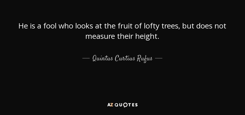 He is a fool who looks at the fruit of lofty trees, but does not measure their height. - Quintus Curtius Rufus