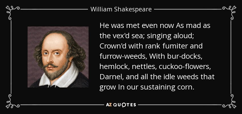He was met even now As mad as the vex'd sea; singing aloud; Crown'd with rank fumiter and furrow-weeds, With bur-docks, hemlock, nettles, cuckoo-flowers, Darnel, and all the idle weeds that grow In our sustaining corn. - William Shakespeare