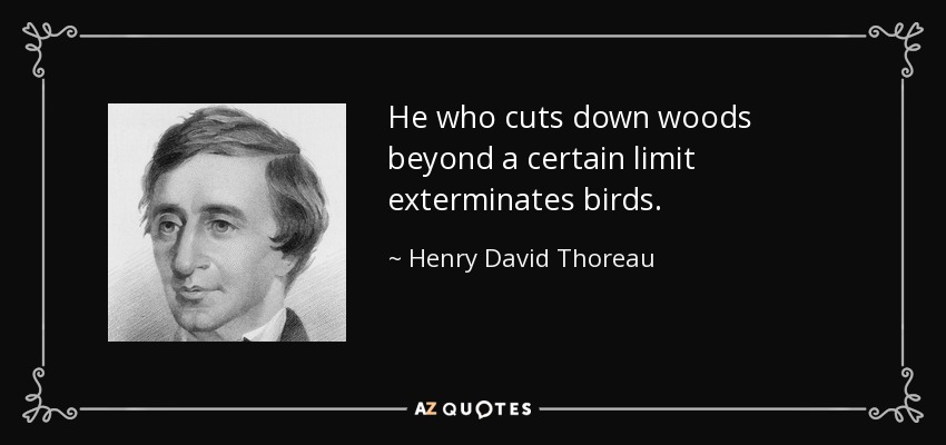 He who cuts down woods beyond a certain limit exterminates birds. - Henry David Thoreau