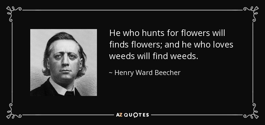 He who hunts for flowers will finds flowers; and he who loves weeds will find weeds. - Henry Ward Beecher