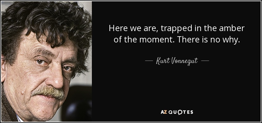 Here we are, trapped in the amber of the moment. There is no why. - Kurt Vonnegut