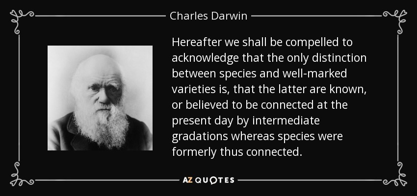 Hereafter we shall be compelled to acknowledge that the only distinction between species and well-marked varieties is, that the latter are known, or believed to be connected at the present day by intermediate gradations whereas species were formerly thus connected. - Charles Darwin
