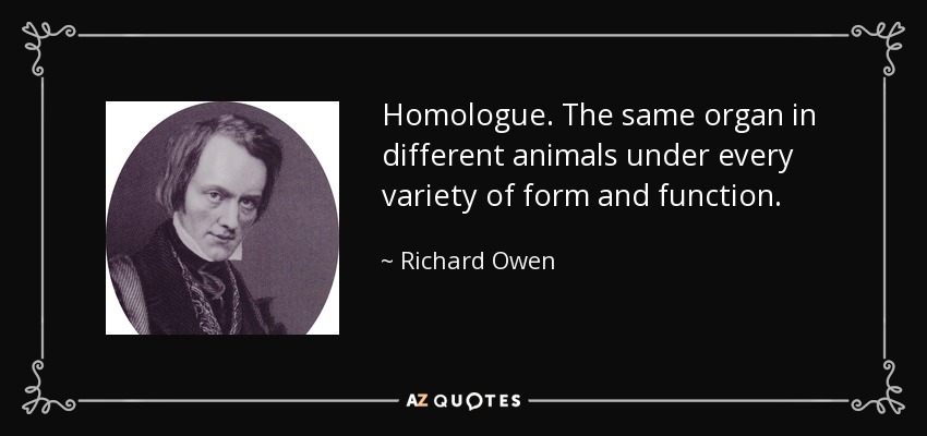 Homologue. The same organ in different animals under every variety of form and function. - Richard Owen