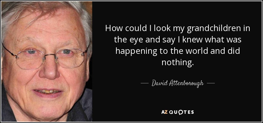 How could I look my grandchildren in the eye and say I knew what was happening to the world and did nothing. - David Attenborough