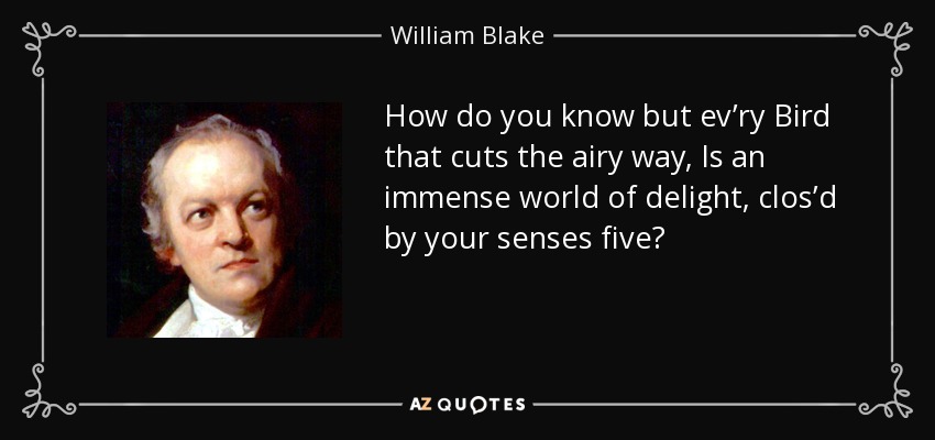 How do you know but ev’ry Bird that cuts the airy way, Is an immense world of delight, clos’d by your senses five? - William Blake