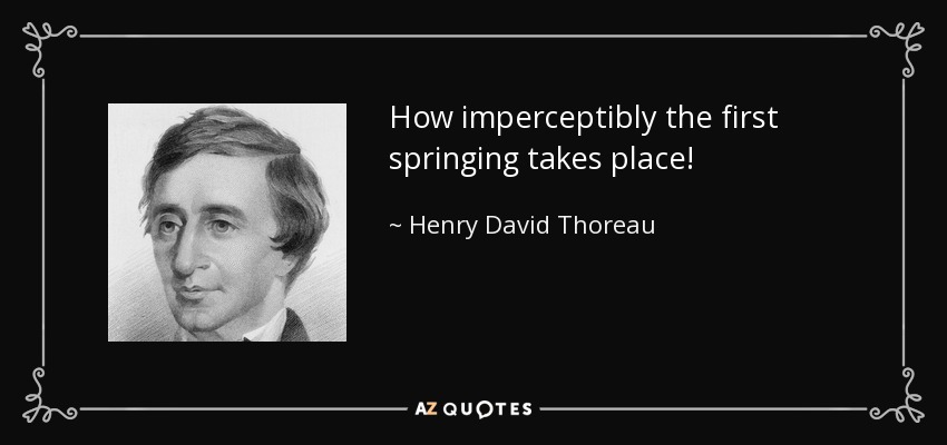 How imperceptibly the first springing takes place! - Henry David Thoreau