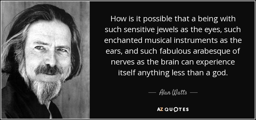 How is it possible that a being with such sensitive jewels as the eyes, such enchanted musical instruments as the ears, and such fabulous arabesque of nerves as the brain can experience itself anything less than a god. - Alan Watts