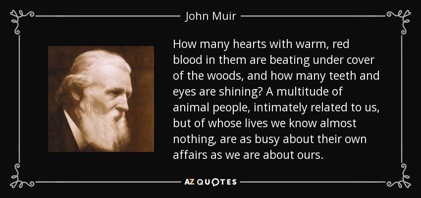How many hearts with warm, red blood in them are beating under cover of the woods, and how many teeth and eyes are shining? A multitude of animal people, intimately related to us, but of whose lives we know almost nothing, are as busy about their own affairs as we are about ours. - John Muir
