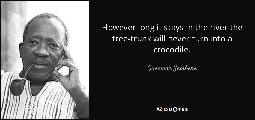 However long it stays in the river the tree-trunk will never turn into a crocodile. - Ousmane Sembene