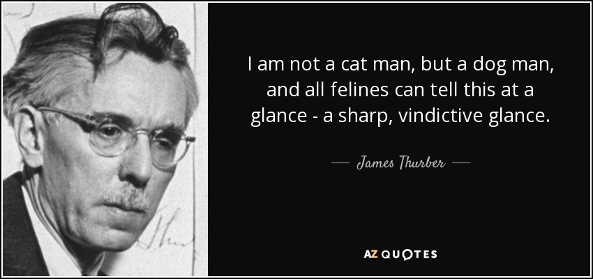 I am not a cat man, but a dog man, and all felines can tell this at a glance - a sharp, vindictive glance. - James Thurber