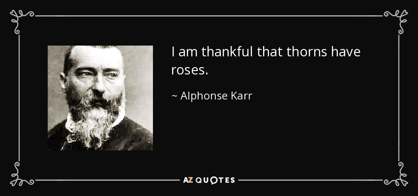 I am thankful that thorns have roses. - Alphonse Karr