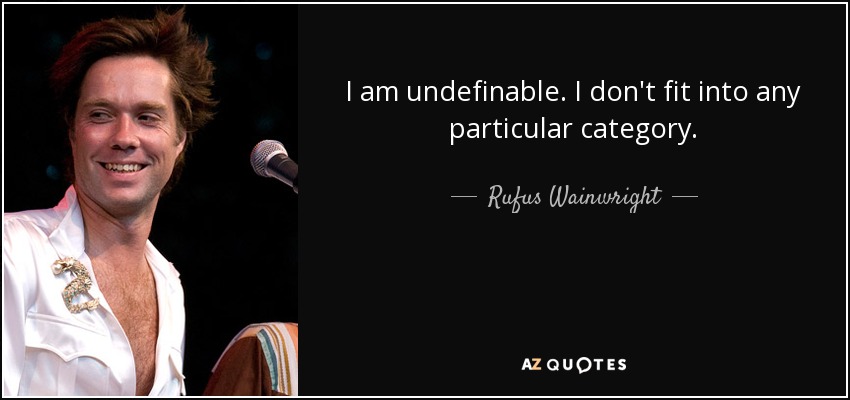 I am undefinable. I don't fit into any particular category. - Rufus Wainwright