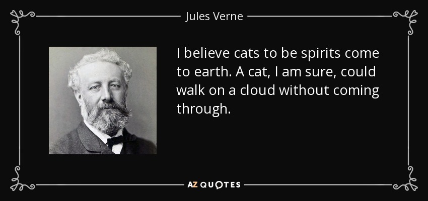 I believe cats to be spirits come to earth. A cat, I am sure, could walk on a cloud without coming through. - Jules Verne