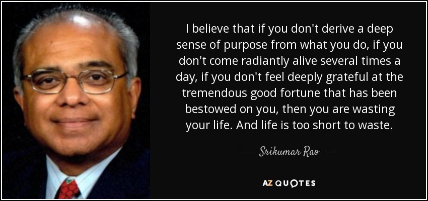 I believe that if you don't derive a deep sense of purpose from what you do, if you don't come radiantly alive several times a day, if you don't feel deeply grateful at the tremendous good fortune that has been bestowed on you, then you are wasting your life. And life is too short to waste. - Srikumar Rao